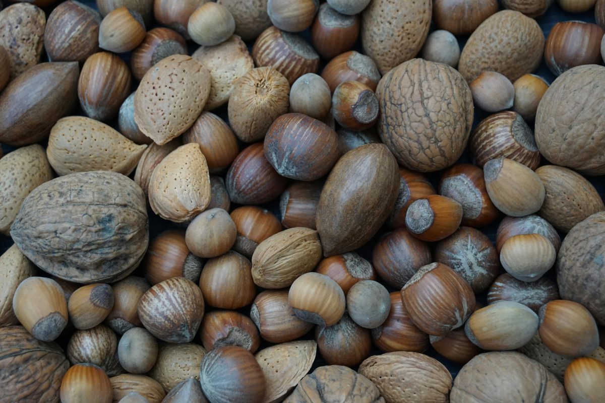 Vitamine B1 : un cofacteur vital dans NUTRILUX VIT&MIN et NUTRILUX BASIC, à associer à des probiotiques spécifiques NUTRILUX : NUTRILUX PROLACTO+, NUTRILUX ACTIFLORE, NUTRILUX POBIO LG, NUTRILUX CANDI STOP, à haute biodisponibilité.