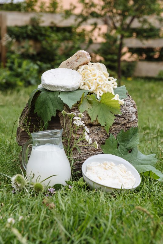Vitamine B2 : un cofacteur métabolique essentiel dans NUTRILUX VIT&MIN, à associer à des probiotiques NUTRILUX : NUTRILUX PROLACTO+, NUTRILUX ACTIFLORE, NUTRILUX POBIO LG, NUTRILUX CANDI STOP,NUTRILUX PROBIO JUNIOR, à haute biodisponibilité.
