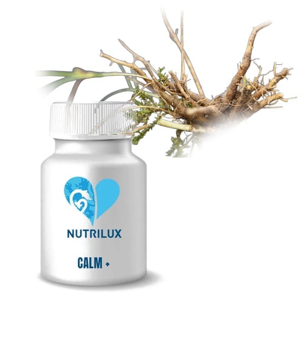 NUTRILUX Calm + NUTRILUX Calm +, un complément alimentaire à base de trois extraits de plantes : l’escholtzia, la valériane et la passiflore. Ces plantes agissent en synergie